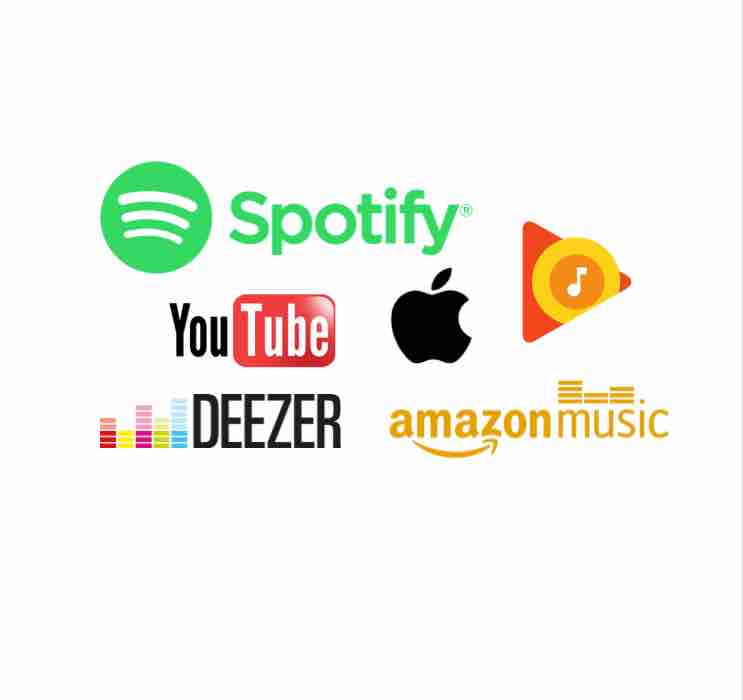 NPA : 14 millions de Français  sont abonnés à une plateforme de streaming musical