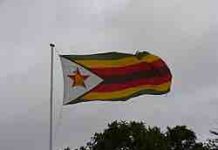 Zimbabwe : une journaliste relaxée après un an de poursuites pour un article satirique