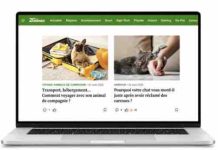 20 Minutes lance «20 Animaux», une nouvelle verticale dédiée aux animaux de compagnie