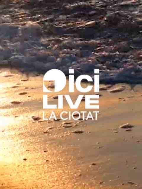 ICI Live La Ciotat: changement de programmation pour la soirée du jeudi 3 septembre