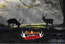 france.tv/ «Le Brame du cerf» : 223.000 vues cumulées depuis le 7 septembre