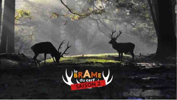 ICI Paris Île-de-France avance au 7 septembre le lancement de la saison 2 du «Brame du cerf»