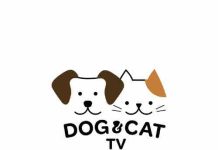 SECOM et Channels CZ lancent Dog & Cat TV en République tchèque dès le 1er septembre