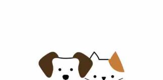 SECOM et Channels CZ lancent Dog & Cat TV en République tchèque dès le 1er septembre