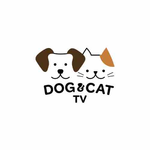 SECOM et Channels CZ lancent Dog & Cat TV en République tchèque dès le 1er septembre