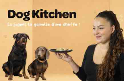 Dog & Cat TV lance sa 1ère production originale