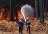 France 2 : «Sauvons nos forêts» rassemble 1,2 million de téléspectateurs et récolte près de 700.000 €