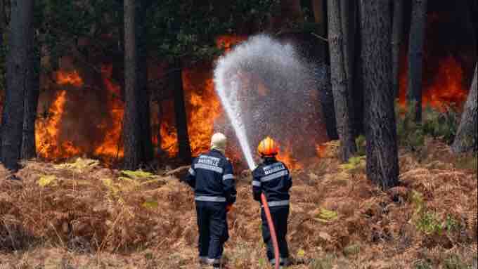 France 2 : «Sauvons nos forêts» rassemble 1,2 million de téléspectateurs et récolte près de 700.000 €