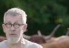 France 5 : «Le monde de Jamy» leader du Prime TNT lundi