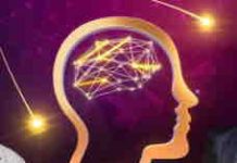 M6 : l’émission «Quel est l’âge de votre cerveau ?» passe de justesse la barre du million mercredi