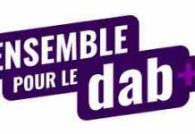 Radios : les acteurs du secteur demandent l’accès obligatoire à la FM et au DAB+ dans les voitures