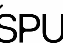 IA : l’AFP, Radio France et le New York Times rejoignent SPUR pour une juste rémunération des contenus